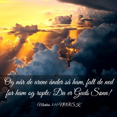 Picture 03 - Markus 3:11 NORSK - Og når de urene ånder så ham, falt de ned for - Bible Verse Picture