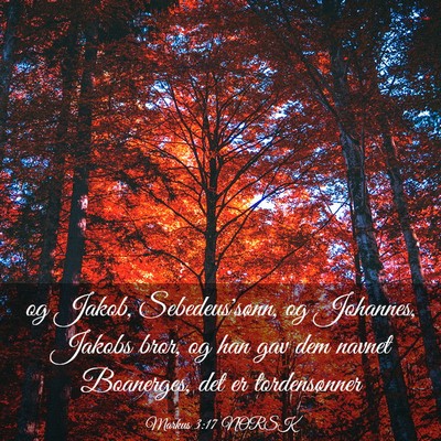 Picture 03 - Markus 3:17 NORSK - og Jakob, Sebedeus'sønn, og Johannes, Jakobs - Bible Verse Picture