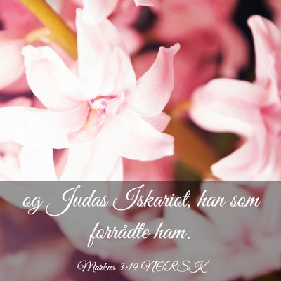 Picture 03 - Markus 3:19 NORSK - og Judas Iskariot, han som forrådte - Bible Verse Picture