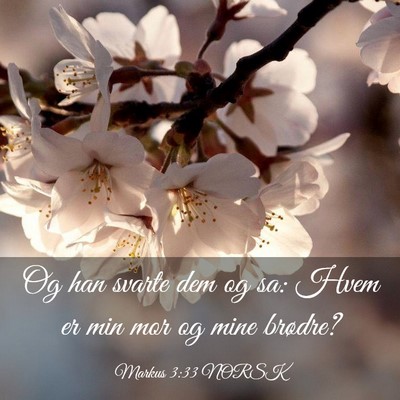 Picture 03 - Markus 3:33 NORSK - Og han svarte dem og sa: Hvem er min mor og mine - Bible Verse Picture