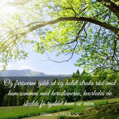 Picture 03 - Markus 3:6 NORSK - Og fariseerne gikk ut og holdt straks råd imot - Bible Verse Picture