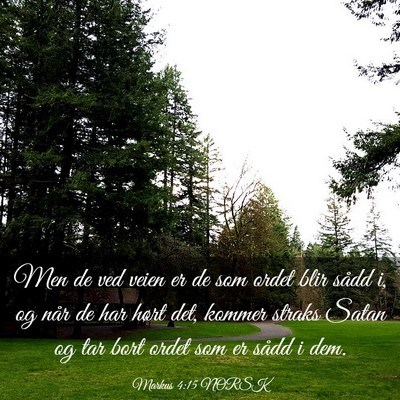 Picture 03 - Markus 4:15 NORSK - Men de ved veien er de som ordet blir sådd i, og - Bible Verse Picture