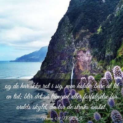 Picture 03 - Markus 4:17 NORSK - og de har ikke rot i sig, men holder bare ut til - Bible Verse Picture
