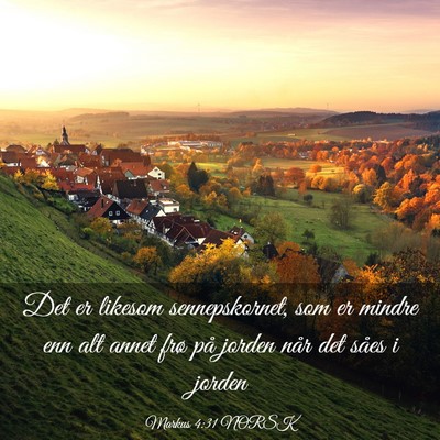 Picture 03 - Markus 4:31 NORSK - Det er likesom sennepskornet, som er mindre enn - Bible Verse Picture