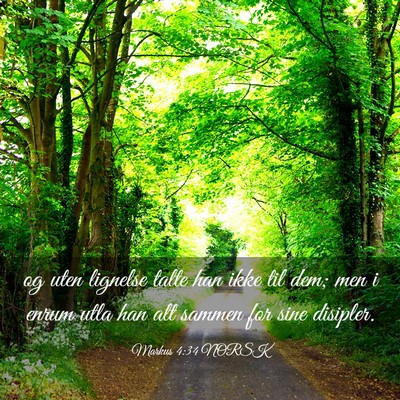 Picture 03 - Markus 4:34 NORSK - og uten lignelse talte han ikke til dem; men i - Bible Verse Picture