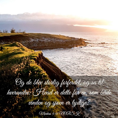 Picture 03 - Markus 4:41 NORSK - Og de blev storlig forferdet, og sa til - Bible Verse Picture
