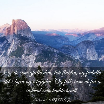 Picture 03 - Markus 5:14 NORSK - Og de som gjætte dem, tok flukten, og fortalte - Bible Verse Picture
