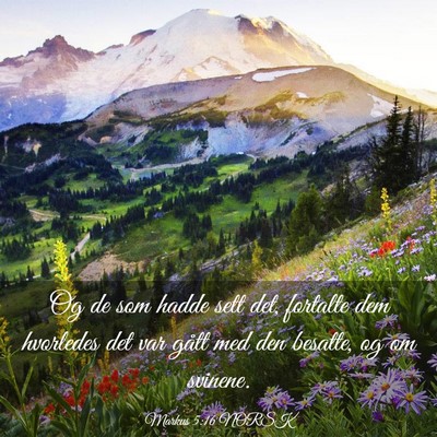 Picture 03 - Markus 5:16 NORSK - Og de som hadde sett det, fortalte dem hvorledes - Bible Verse Picture