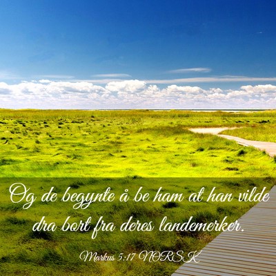 Picture 03 - Markus 5:17 NORSK - Og de begynte å be ham at han vilde dra bort fra - Bible Verse Picture