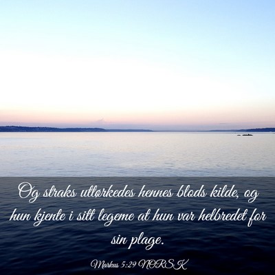 Picture 03 - Markus 5:29 NORSK - Og straks uttørkedes hennes blods kilde, og hun - Bible Verse Picture