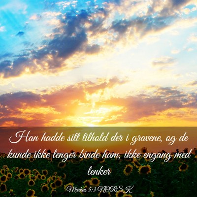 Picture 03 - Markus 5:3 NORSK - Han hadde sitt tilhold der i gravene, og de kunde - Bible Verse Picture