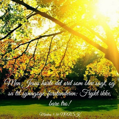 Picture 03 - Markus 5:36 NORSK - Men Jesus hørte det ord som blev sagt, og sa til - Bible Verse Picture