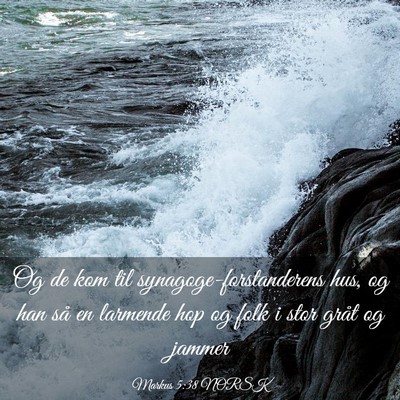 Picture 03 - Markus 5:38 NORSK - Og de kom til synagoge-forstanderens hus, og han - Bible Verse Picture