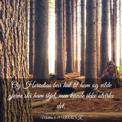 Picture 03 - Markus 6:19 NORSK - Og Herodias bar hat til ham og vilde gjerne slå - Bible Verse Picture