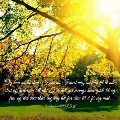 Picture 03 - Markus 6:31 NORSK - Og han sa til dem: Kom nu I med mig avsides til - Bible Verse Picture