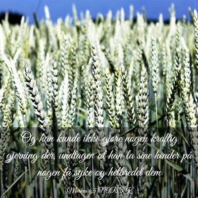 Picture 03 - Markus 6:5 NORSK - Og han kunde ikke gjøre nogen kraftig gjerning - Bible Verse Picture