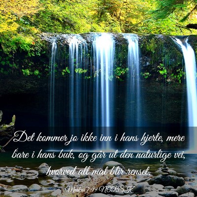 Picture 03 - Markus 7:19 NORSK - Det kommer jo ikke inn i hans hjerte, mere bare i - Bible Verse Picture
