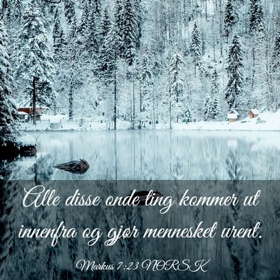 Picture 03 - Markus 7:23 NORSK - Alle disse onde ting kommer ut innenfra og gjør - Bible Verse Picture