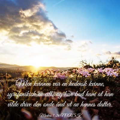 Picture 03 - Markus 7:26 NORSK - Men kvinnen var en hedensk kvinne, syrofønikisk - Bible Verse Picture