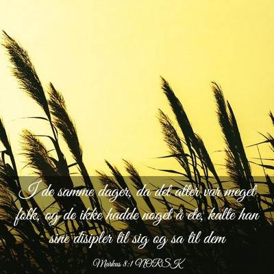 Picture 03 - Markus 8:1 NORSK - I de samme dager, da det atter var meget folk, og - Bible Verse Picture