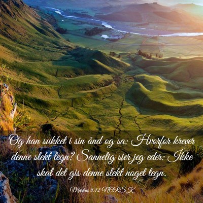 Picture 03 - Markus 8:12 NORSK - Og han sukket i sin ånd og sa: Hvorfor krever - Bible Verse Picture