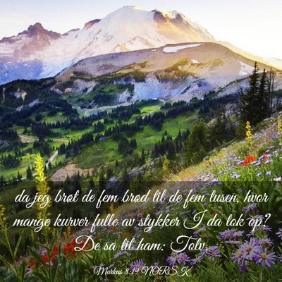 Picture 03 - Markus 8:19 NORSK - da jeg brøt de fem brød til de fem tusen, hvor - Bible Verse Picture