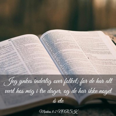 Picture 03 - Markus 8:2 NORSK - Jeg ynkes inderlig over folket; for de har alt - Bible Verse Picture