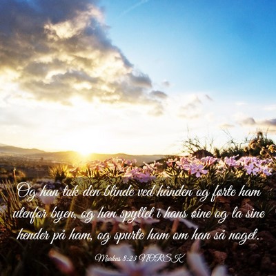 Picture 03 - Markus 8:23 NORSK - Og han tok den blinde ved hånden og førte ham - Bible Verse Picture