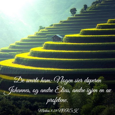 Picture 03 - Markus 8:28 NORSK - De svarte ham: Nogen sier døperen Johannes, og - Bible Verse Picture