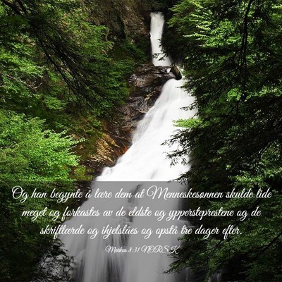 Picture 03 - Markus 8:31 NORSK - Og han begynte å lære dem at Menneskesønnen - Bible Verse Picture