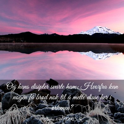 Picture 03 - Markus 8:4 NORSK - Og hans disipler svarte ham: Hvorfra kan nogen - Bible Verse Picture