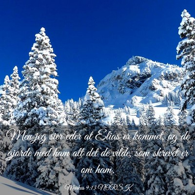 Picture 03 - Markus 9:13 NORSK - Men jeg sier eder at Elias er kommet, og de - Bible Verse Picture
