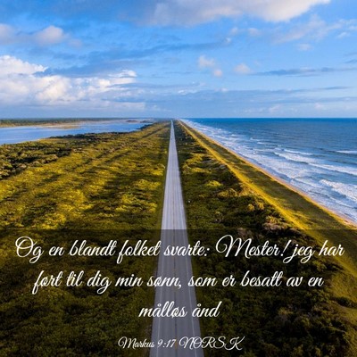 Picture 03 - Markus 9:17 NORSK - Og en blandt folket svarte: Mester! jeg har ført - Bible Verse Picture