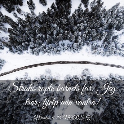 Picture 03 - Markus 9:24 NORSK - Straks ropte barnets far: Jeg tror; hjelp min - Bible Verse Picture