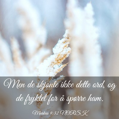 Picture 03 - Markus 9:32 NORSK - Men de skjønte ikke dette ord, og de fryktet for - Bible Verse Picture