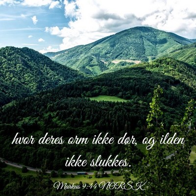Picture 03 - Markus 9:44 NORSK - hvor deres orm ikke dør, og ilden ikke - Bible Verse Picture