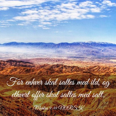 Picture 03 - Markus 9:49 NORSK - For enhver skal saltes med ild, og ethvert offer - Bible Verse Picture