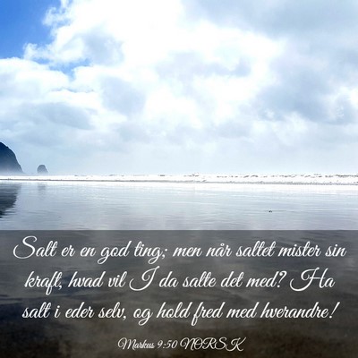 Picture 03 - Markus 9:50 NORSK - Salt er en god ting; men når saltet mister sin - Bible Verse Picture