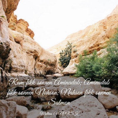 Picture 03 - Matteus 1:4 NORSK - Ram fikk sønnen Aminadab; Aminadab fikk sønnen - Bible Verse Picture