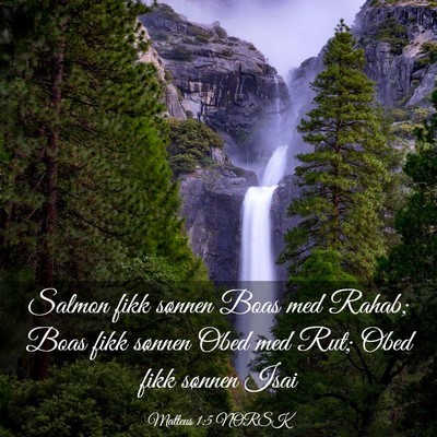 Picture 03 - Matteus 1:5 NORSK - Salmon fikk sønnen Boas med Rahab; Boas fikk - Bible Verse Picture