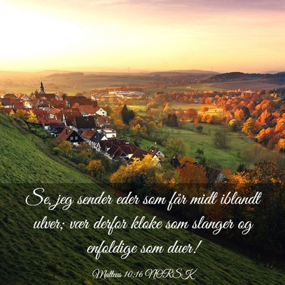 Picture 03 - Matteus 10:16 NORSK - Se, jeg sender eder som får midt iblandt ulver; - Bible Verse Picture