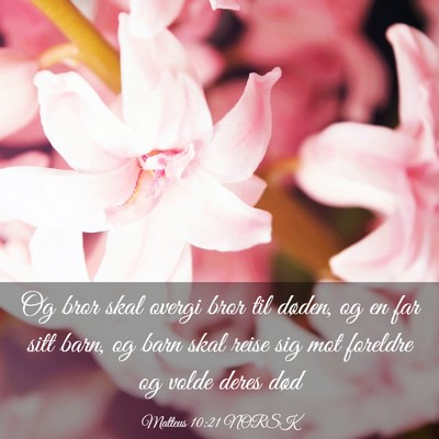 Picture 03 - Matteus 10:21 NORSK - Og bror skal overgi bror til døden, og en far - Bible Verse Picture