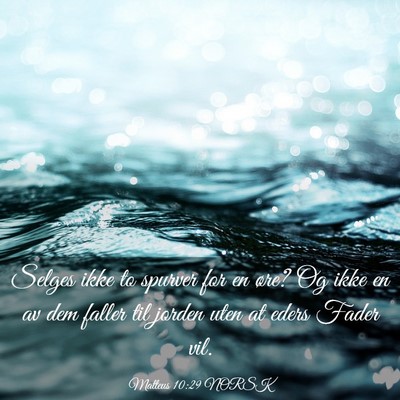 Picture 03 - Matteus 10:29 NORSK - Selges ikke to spurver for en øre? Og ikke en av - Bible Verse Picture