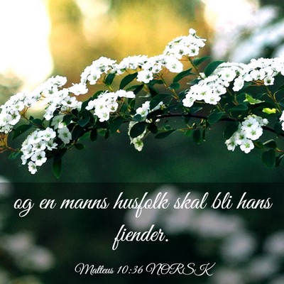 Picture 03 - Matteus 10:36 NORSK - og en manns husfolk skal bli hans - Bible Verse Picture