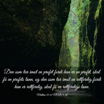Picture 03 - Matteus 10:41 NORSK - Den som tar imot en profet fordi han er en - Bible Verse Picture