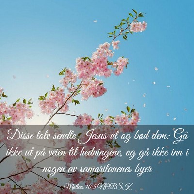 Picture 03 - Matteus 10:5 NORSK - Disse tolv sendte Jesus ut og bød dem: Gå ikke - Bible Verse Picture