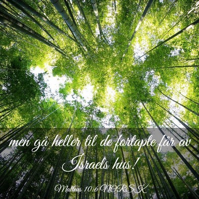 Picture 03 - Matteus 10:6 NORSK - men gå heller til de fortapte får av Israels - Bible Verse Picture