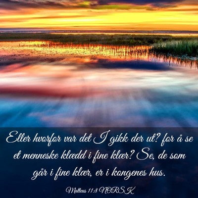 Picture 03 - Matteus 11:8 NORSK - Eller hvorfor var det I gikk der ut? for å se et - Bible Verse Picture