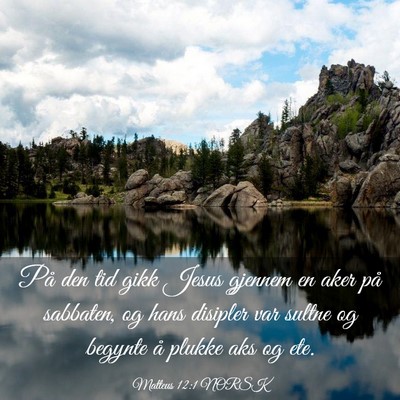 Picture 03 - Matteus 12:1 NORSK - På den tid gikk Jesus gjennem en aker på - Bible Verse Picture