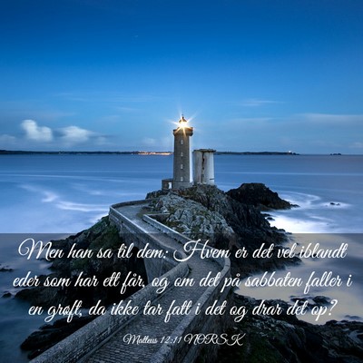 Picture 03 - Matteus 12:11 NORSK - Men han sa til dem: Hvem er det vel iblandt eder - Bible Verse Picture